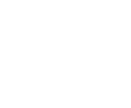Turtle Set Inc.